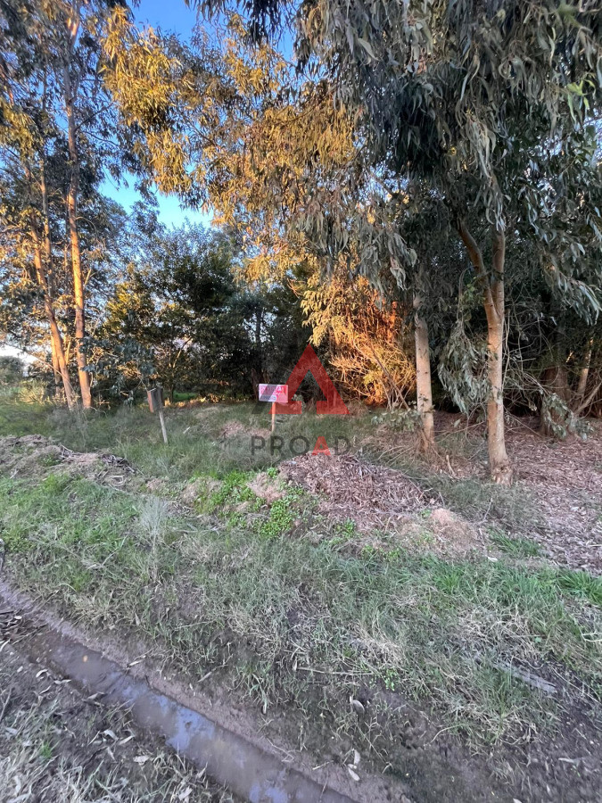 Terreno ID.41 - Amplio terreno a pasos de la ruta