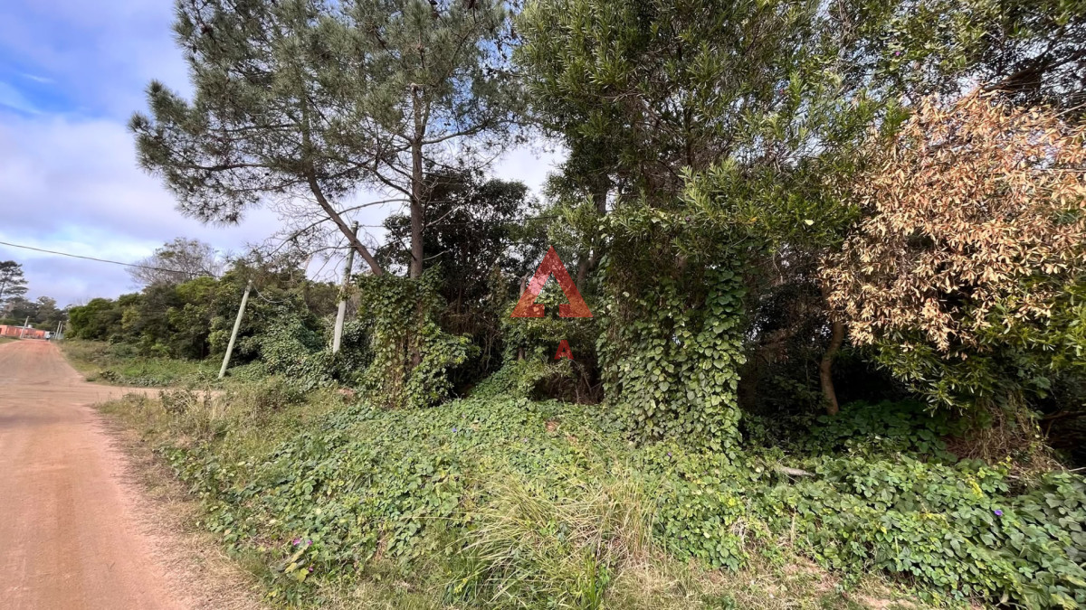 Terreno ID.145 - Terreno esquinero en Ocean Park