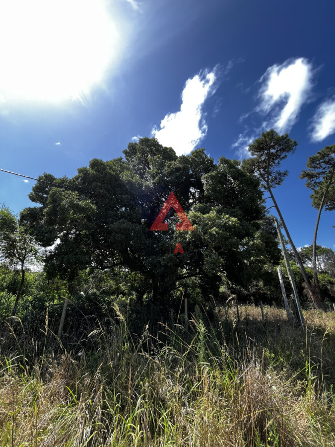 Terreno ID.28 - 3 padrones juntos para inversión y desarrollo de proyecto 