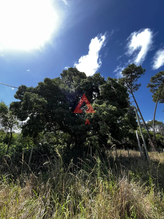 Terreno ID.28 - 3 padrones juntos para inversión y desarrollo de proyecto 