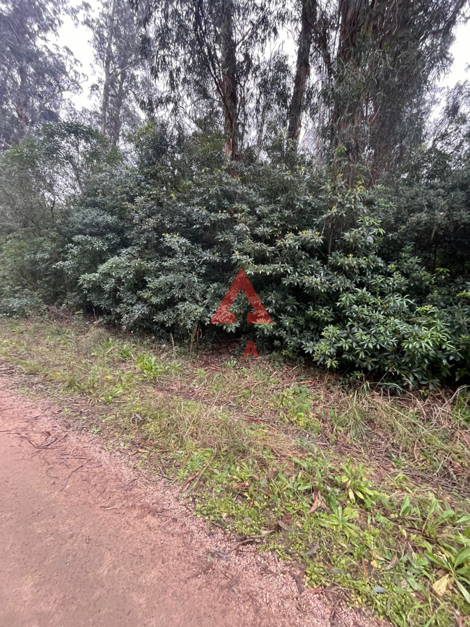 Terreno ID.40 - Amplio Terreno en Ocean Park 