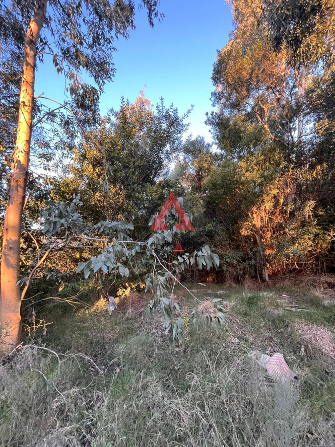 Terreno ID.41 - Amplio terreno a pasos de la ruta
