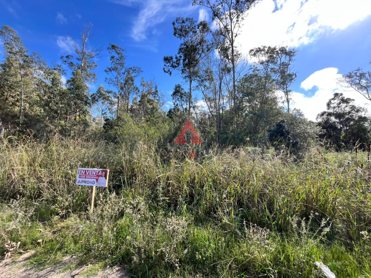 Terreno ID.126 - Terreno 1000 m2 en Ocean Park