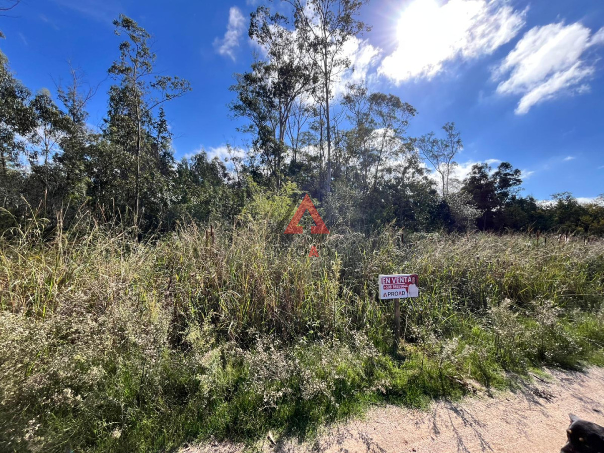 Terreno ID.126 - Terreno 1000 m2 en Ocean Park
