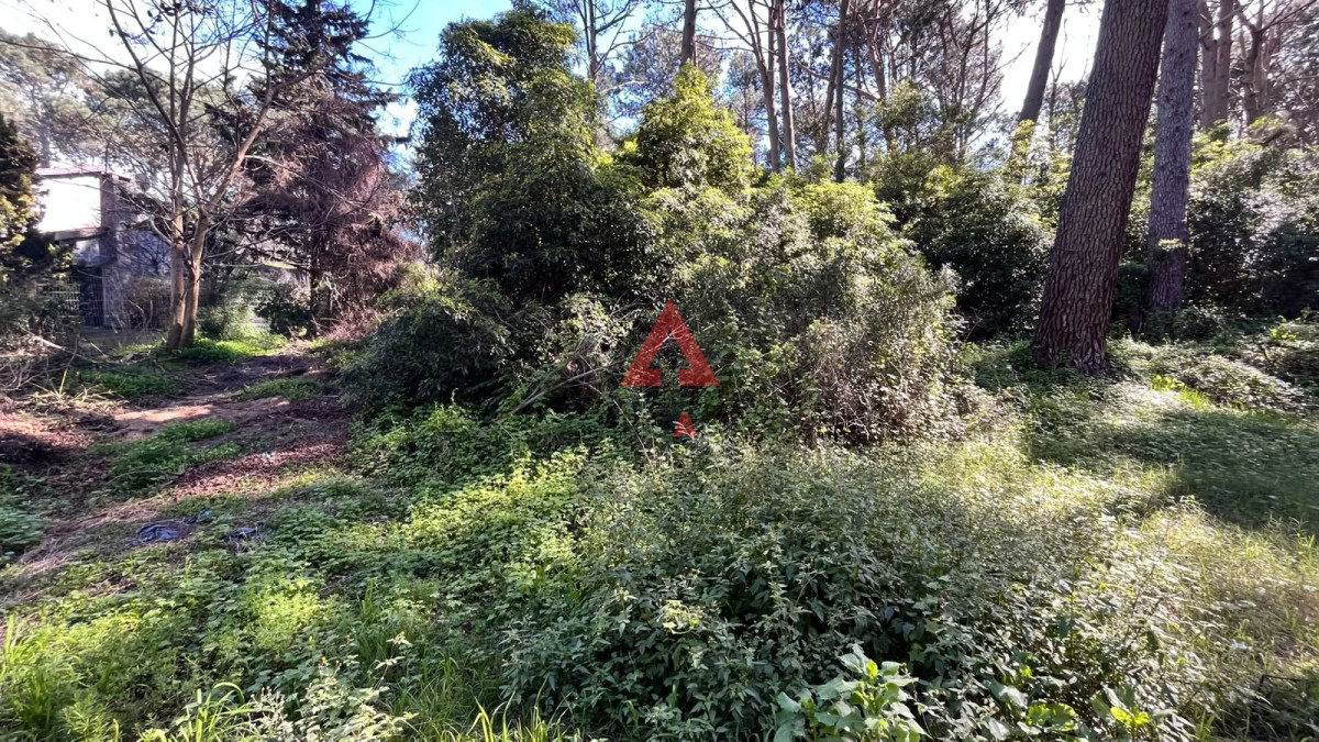 Terreno ID.163 - Terreno Club del Lago 1177 m2