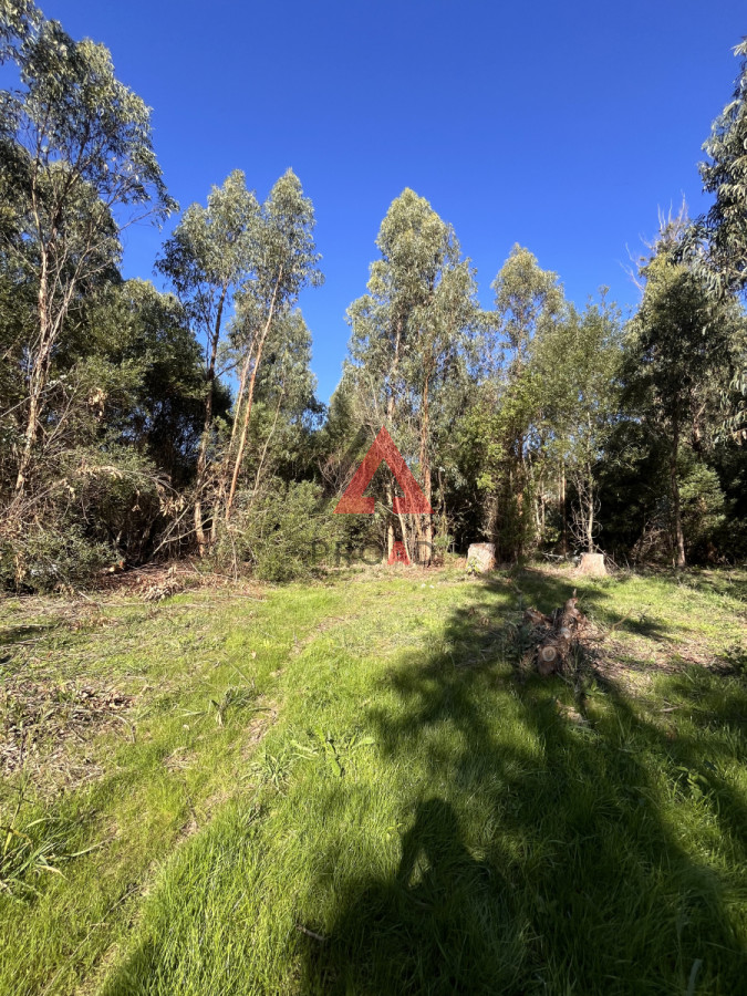 Terreno ID.22 - Vivir cerca del mar es posible, conoce este terreno de 840m2 
