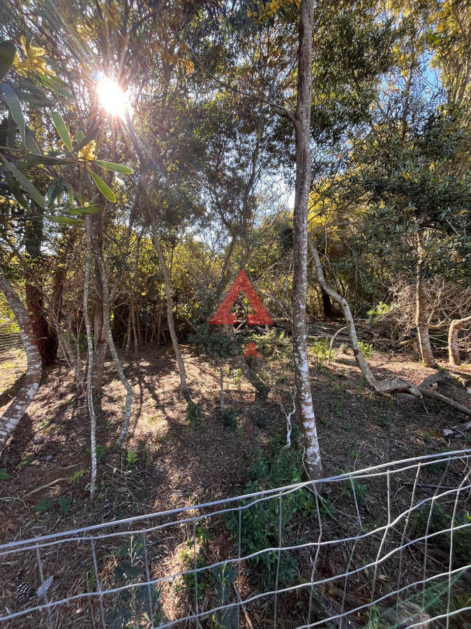 Terreno ID.6 - Terreno en Ocean Park