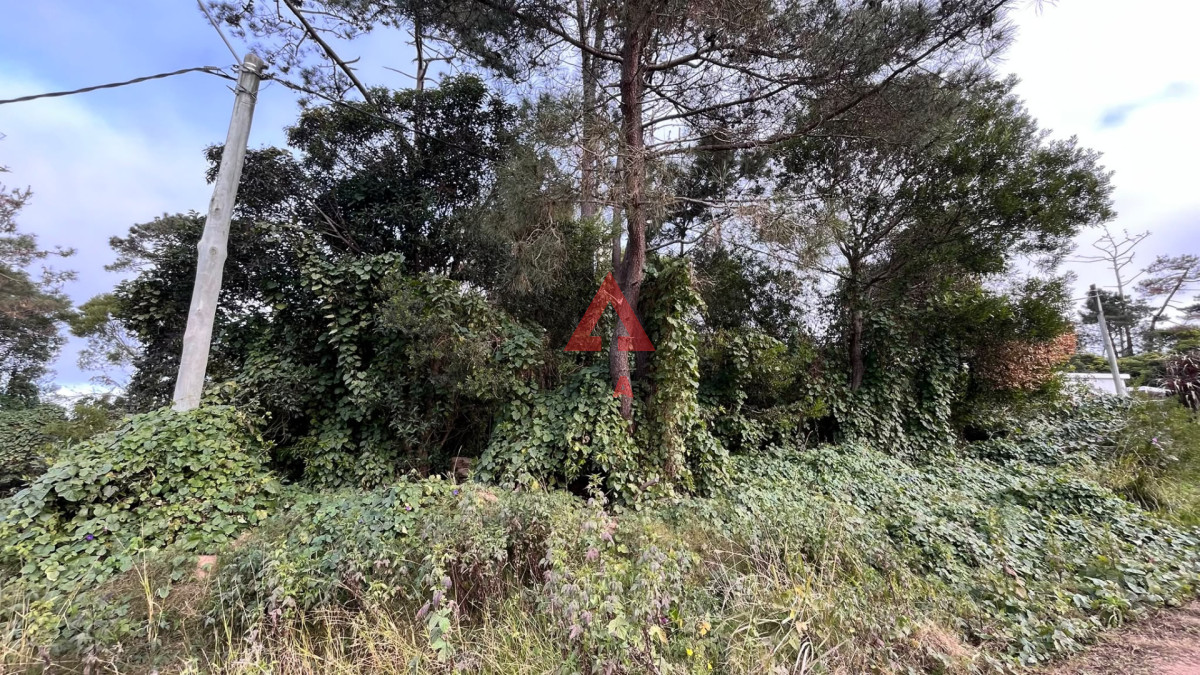 Terreno ID.145 - Terreno esquinero en Ocean Park