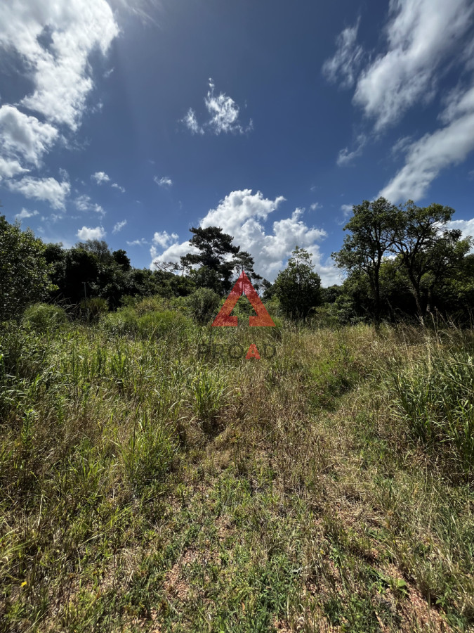 Terreno ID.28 - 3 padrones juntos para inversión y desarrollo de proyecto 
