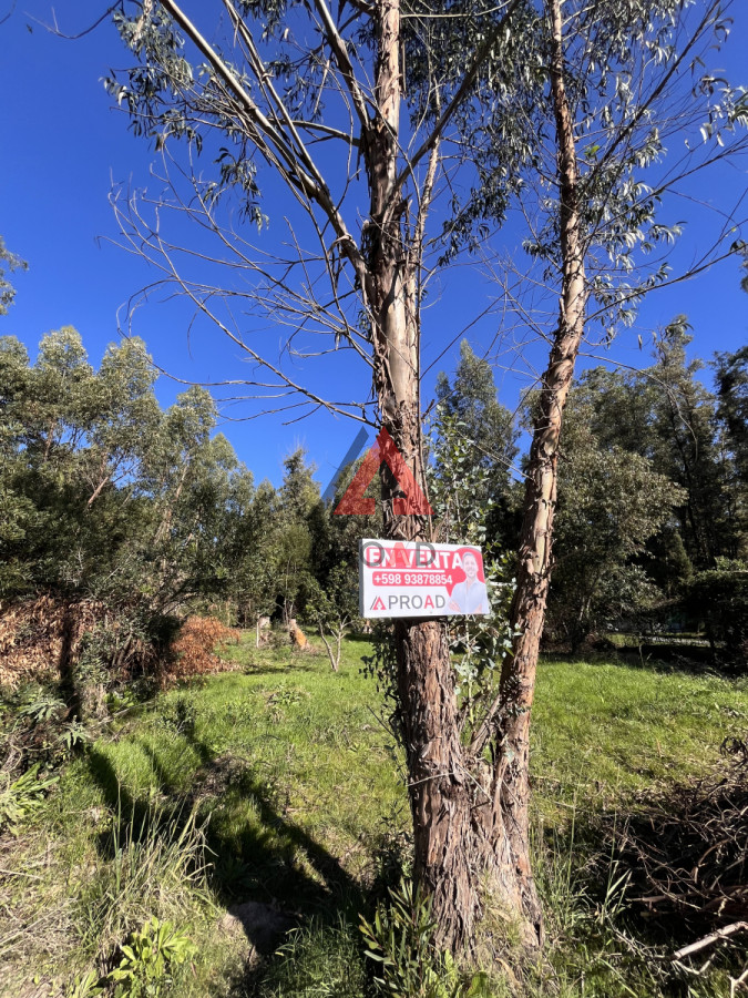 Terreno ID.22 - Vivir cerca del mar es posible, conoce este terreno de 840m2 