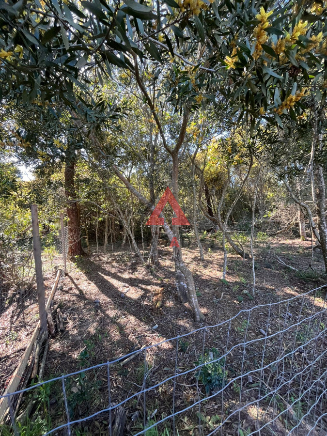 Terreno ID.6 - Terreno en Ocean Park