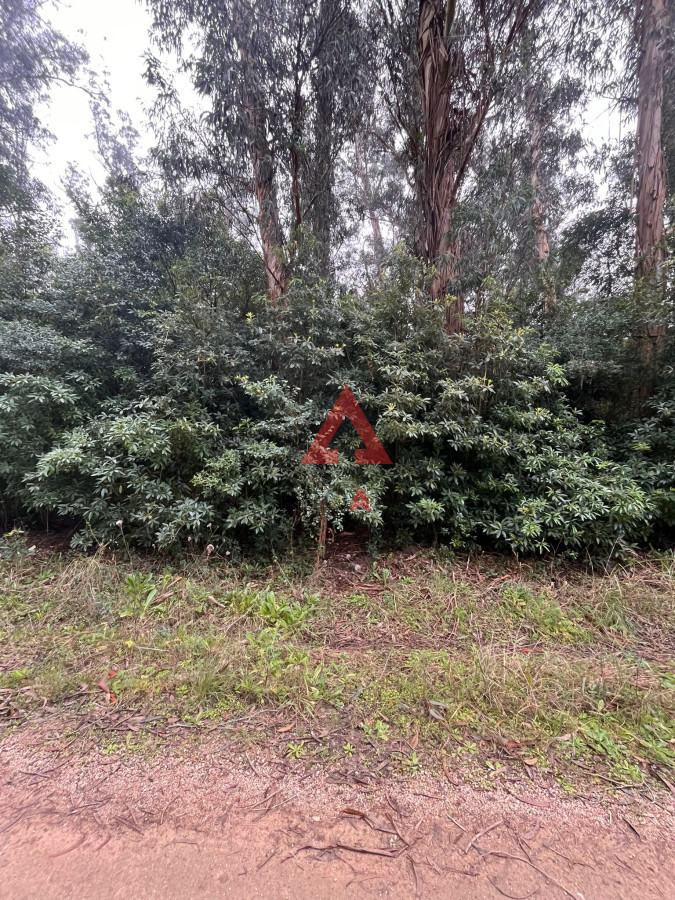 Terreno ID.40 - Amplio Terreno en Ocean Park 