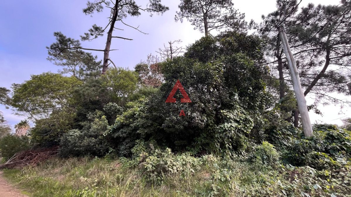 Terreno ID.145 - Terreno esquinero en Ocean Park