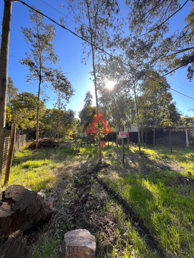 Terreno ID.49 - Terreno de 550 mts2 sobre Av. Principal de Sauce de Portezuelo