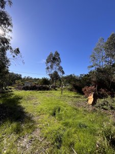 Vivir cerca del mar es posible, conoce este terreno de 840m2 