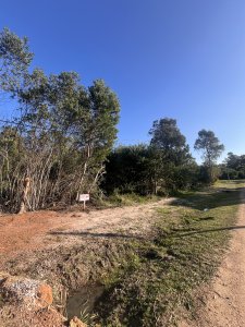 Vivir a 300mts del mar es posible en este hermoso terreno!