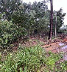 Terreno en Ocean Park