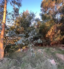 Amplio terreno a pasos de la ruta