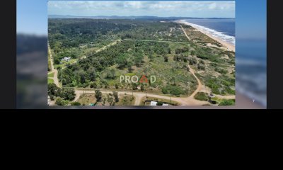 Lote de 7 hectareas frente al mar, perfecto para proyecto!