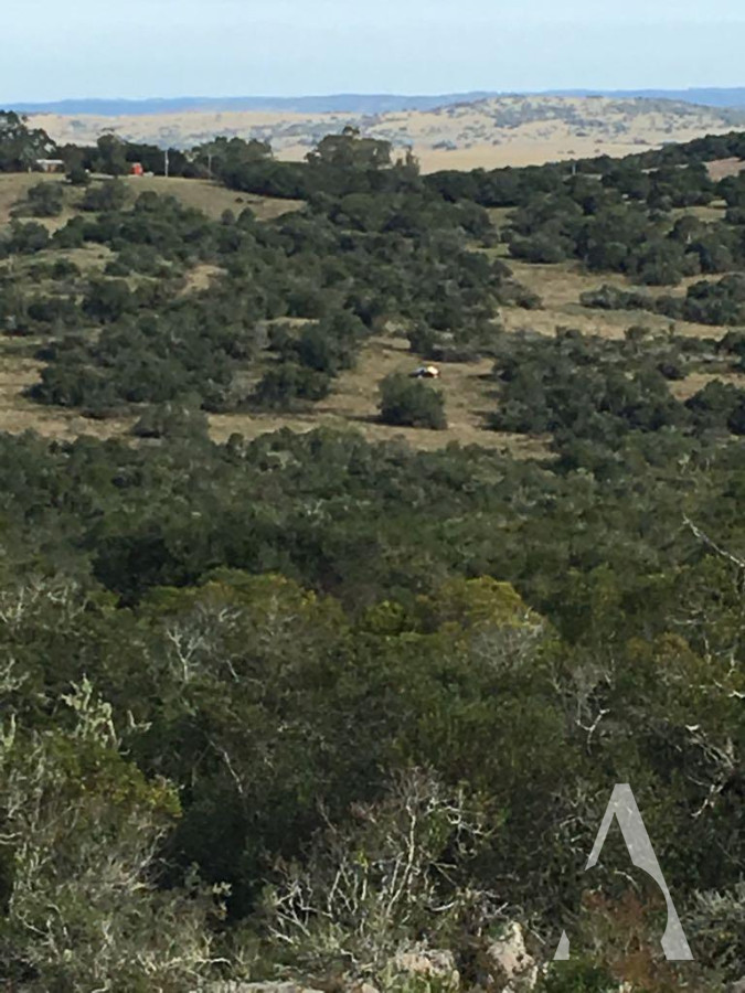 Campo Ref.23 - CAMPO 420 HAS - CERRO LA CENTINELA