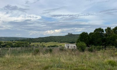 CAMPO 420 HAS - CERRO LA CENTINELA