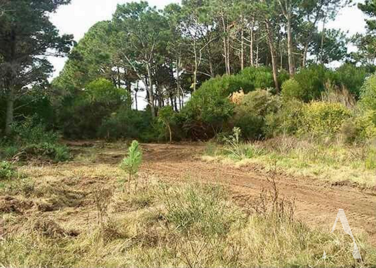 Terreno ID.25 - TERRENO EN LAGUNA GARZÓN 