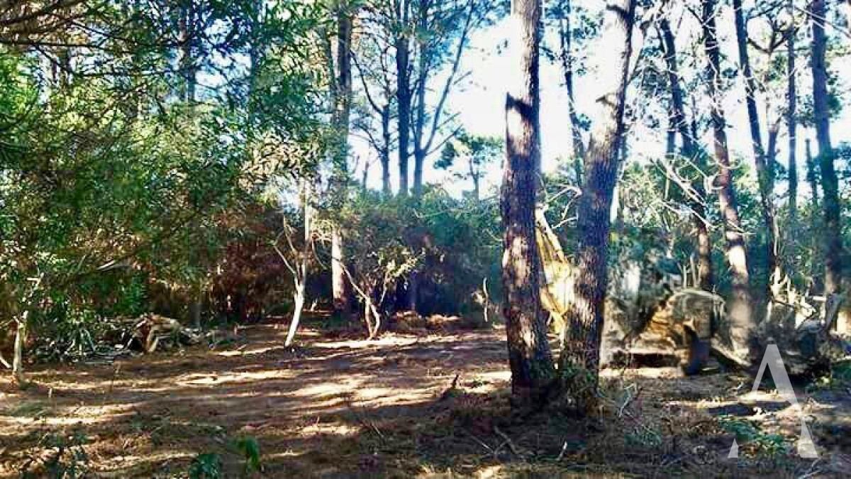 Terreno ID.25 - TERRENO EN LAGUNA GARZÓN 