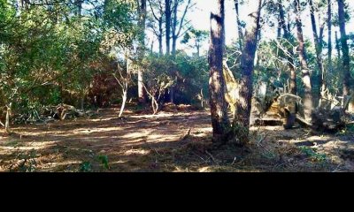 TERRENO EN LAGUNA GARZÓN