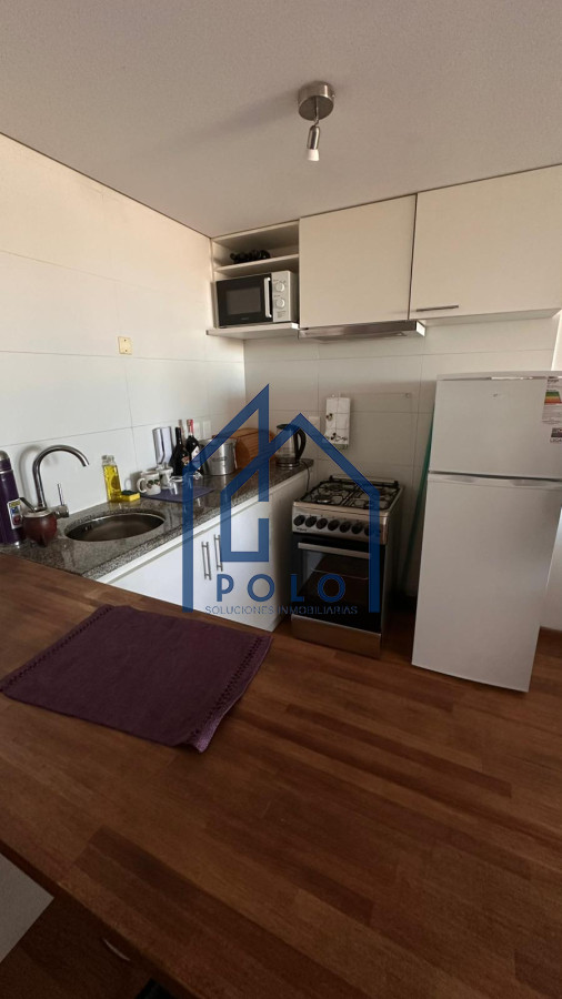Apartamento ID.100 - Alquiler Cordon Sur, 2D equipado! Panoramica Vista!