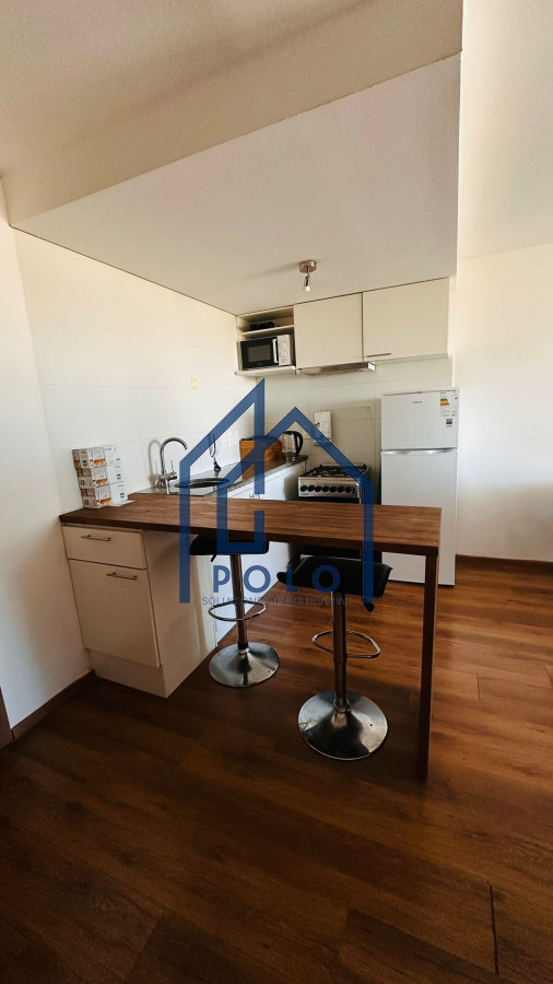 Apartamento ID.100 - Alquiler Cordon Sur, 2D equipado! Panoramica Vista!