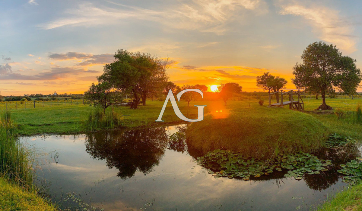 Chacra ID.180 - Chacra 24.779 m2 con Challet de 425m2 en Zona Residencial 