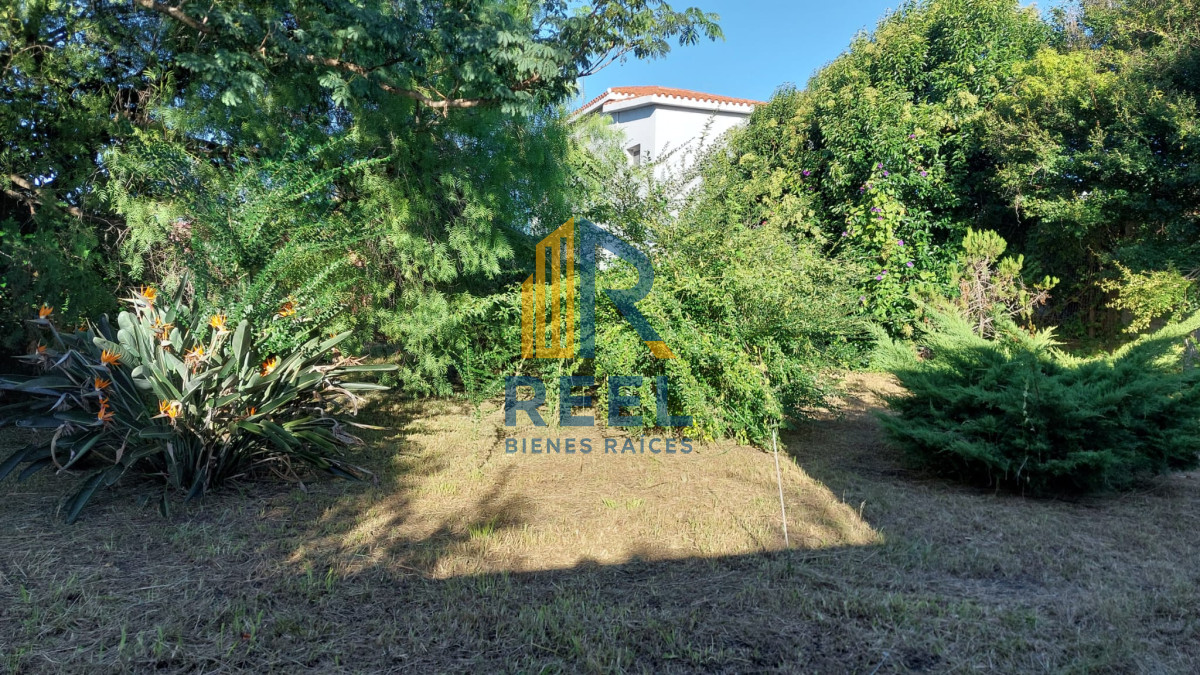 Casa ID.167 - Chalet de 300m2 con terreno de 2020m2 en 18 Julio Paso de los Toros