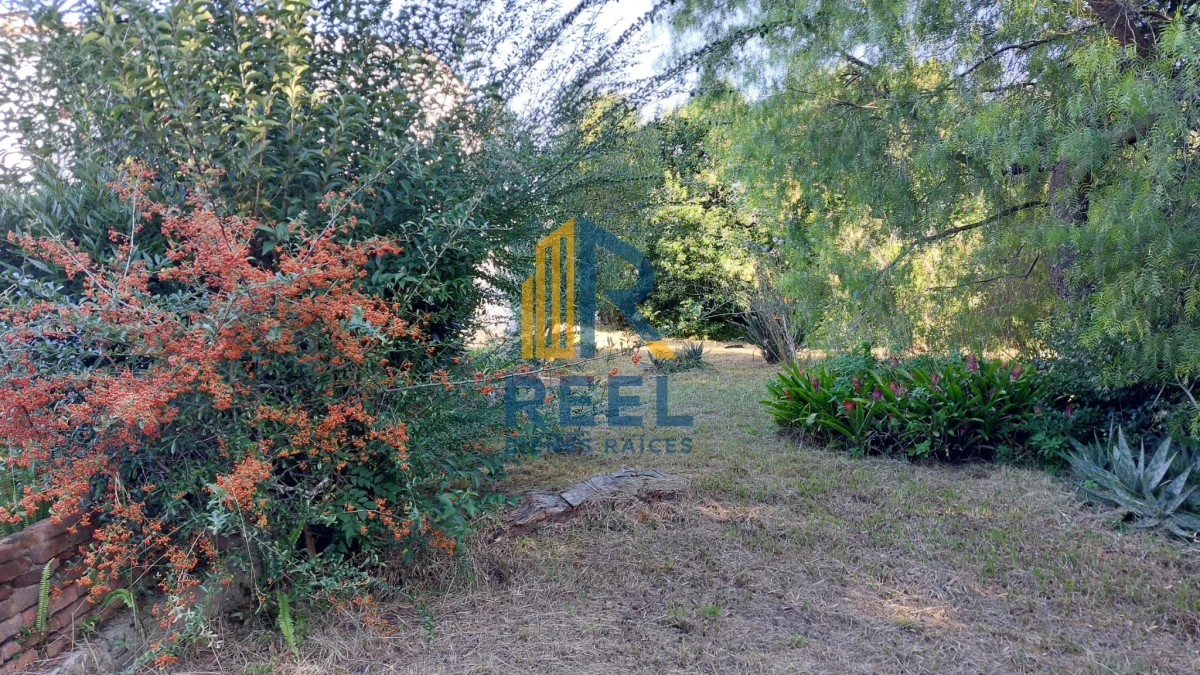 Casa ID.167 - Chalet de 300m2 con terreno de 2020m2 en 18 Julio Paso de los Toros