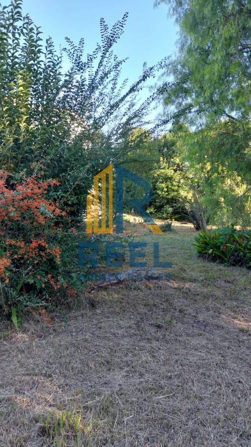 Casa ID.167 - Chalet de 300m2 con terreno de 2020m2 en 18 Julio Paso de los Toros