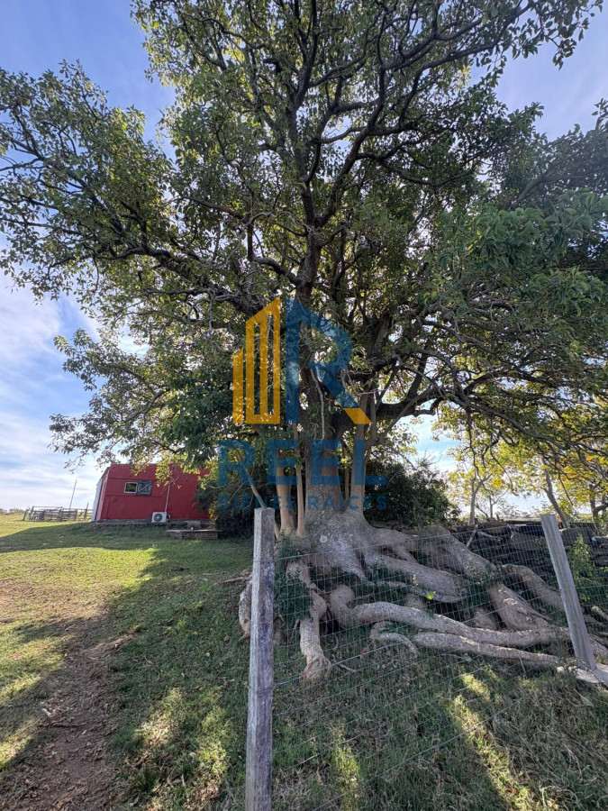 Chacra ID.8 - Chacra de 9,5 has frente al rio Negro ideal para Barrio Privado 