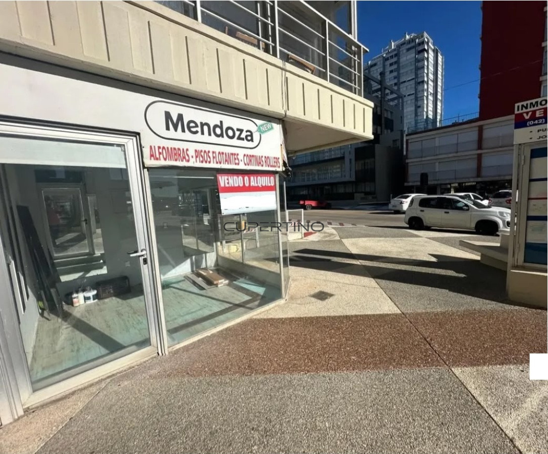 VENTA LOCAL COMERCIAL PENINSULA — foto 1