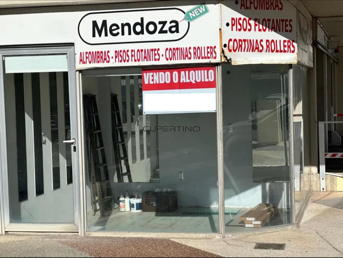 VENTA LOCAL COMERCIAL PENINSULA — foto 8