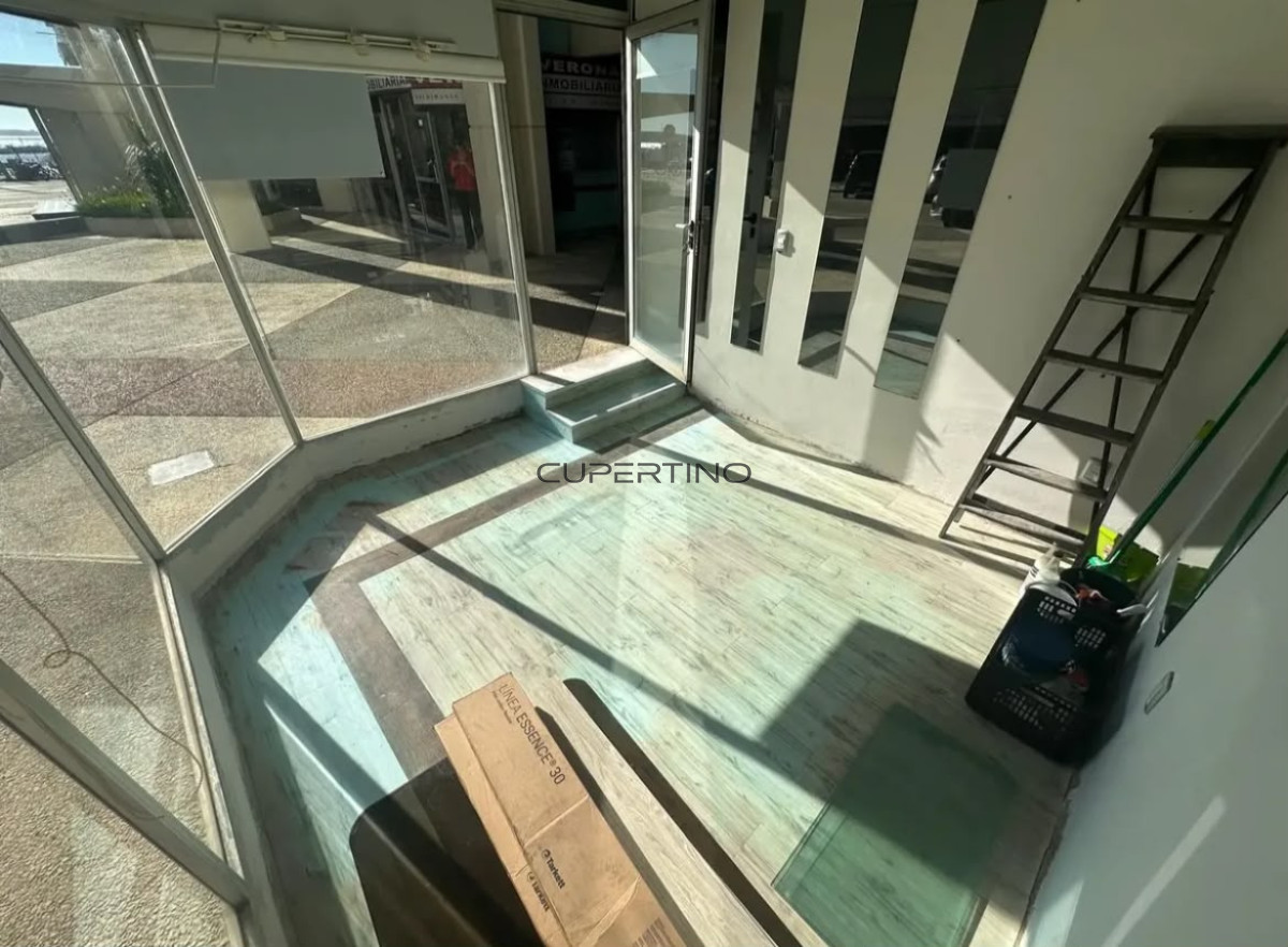 VENTA LOCAL COMERCIAL PENINSULA — foto 6