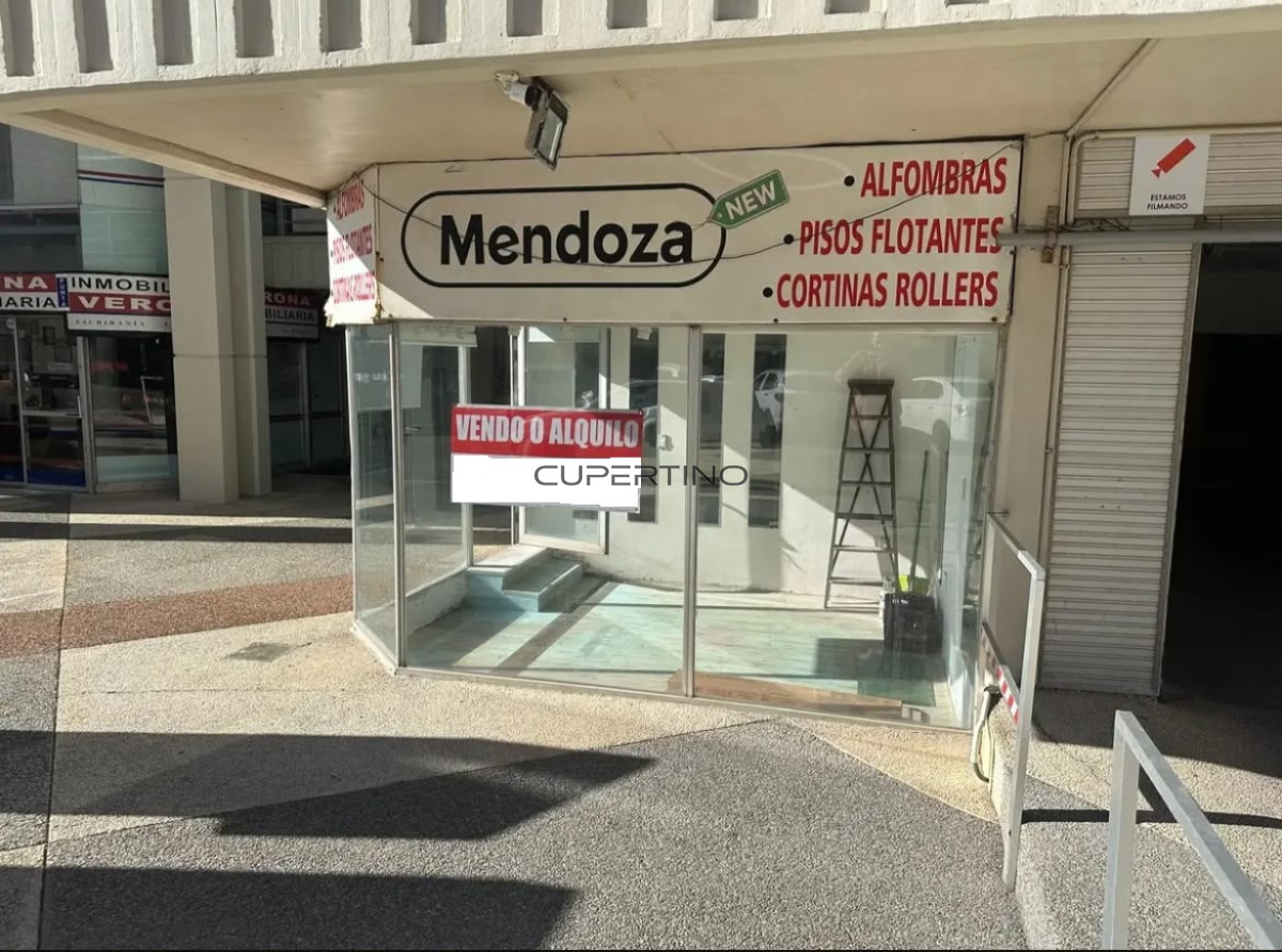 VENTA LOCAL COMERCIAL PENINSULA — foto 9