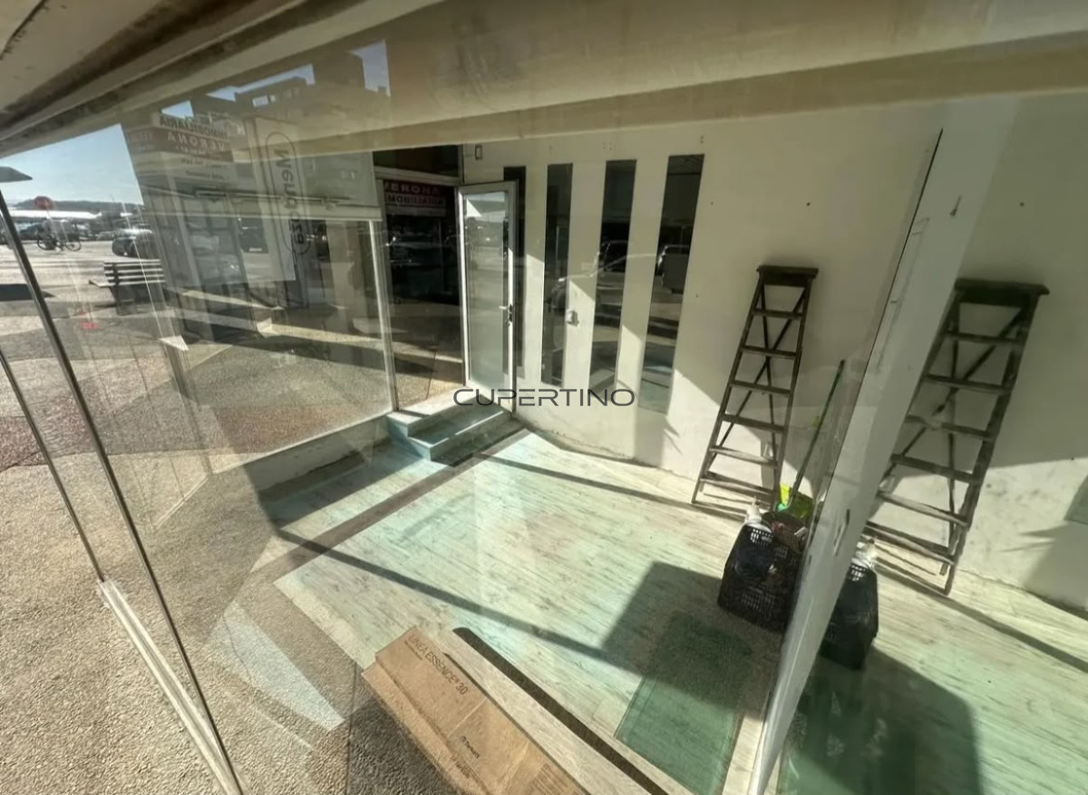 VENTA LOCAL COMERCIAL PENINSULA — foto 5