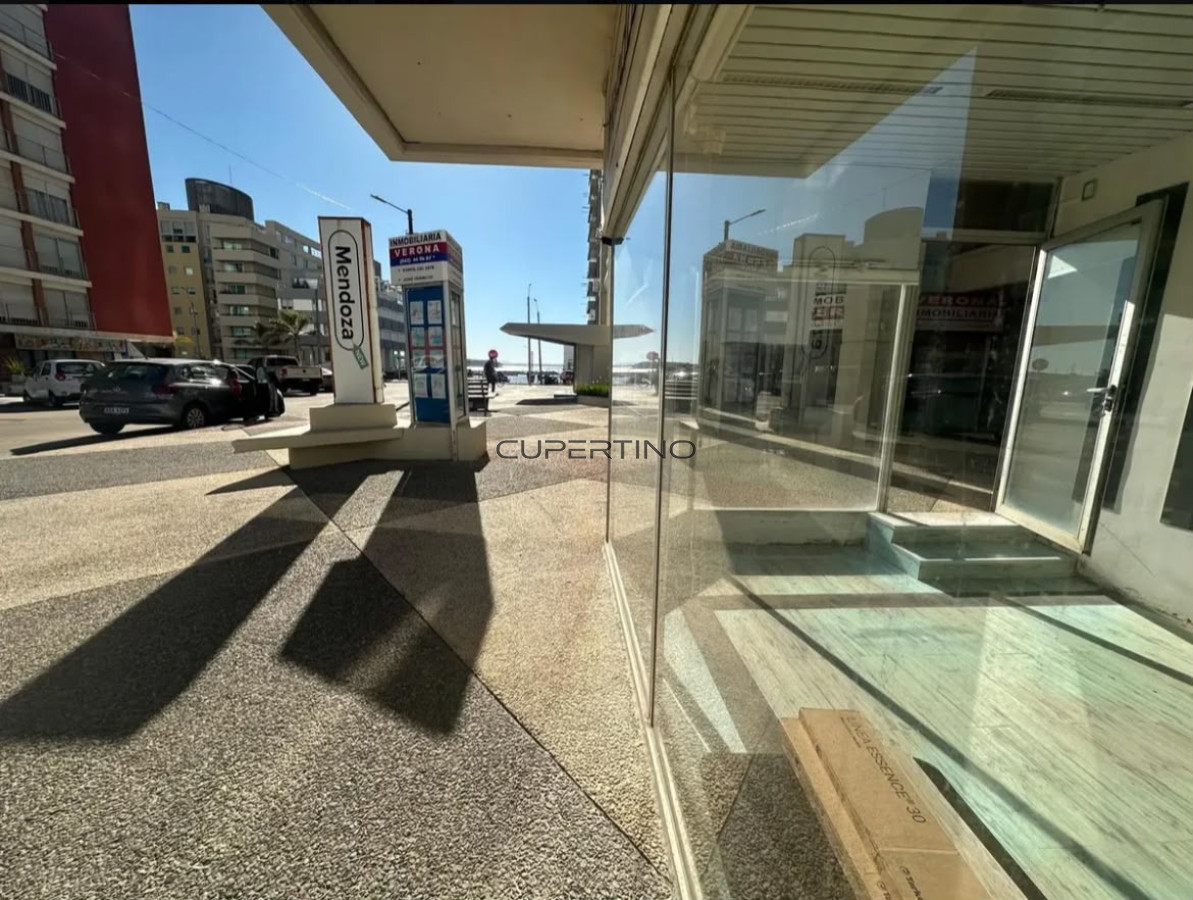 VENTA LOCAL COMERCIAL PENINSULA — foto 7