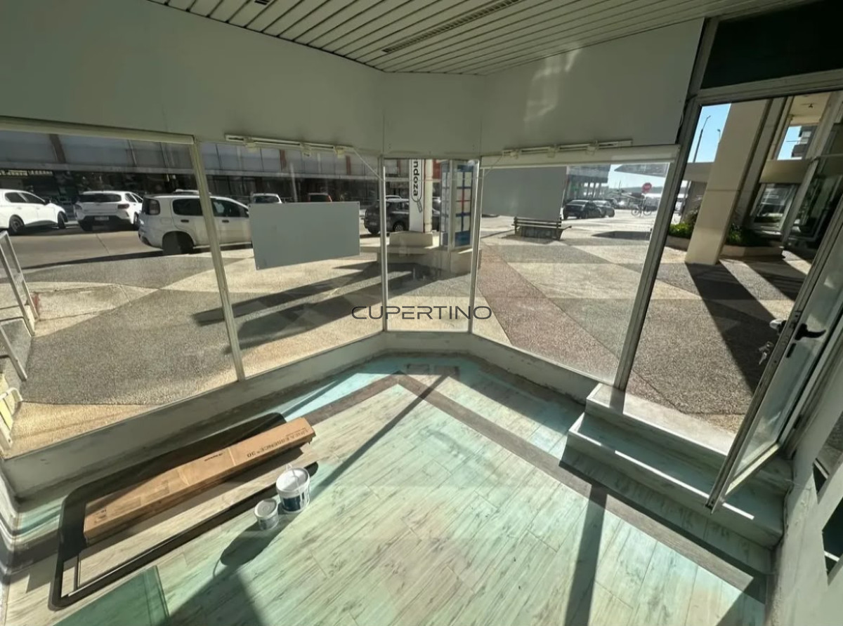 VENTA LOCAL COMERCIAL PENINSULA — foto 3