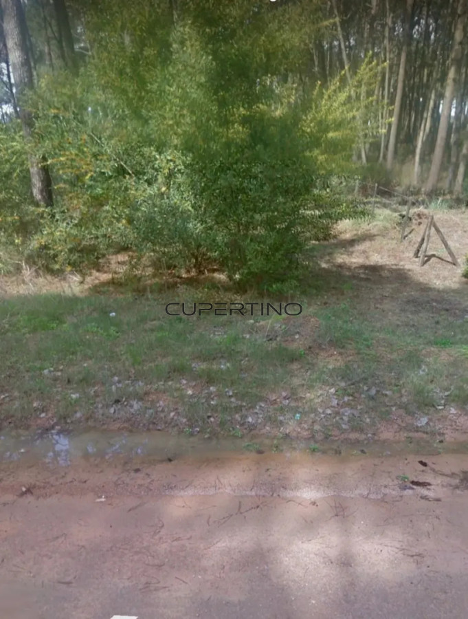 Terreno Rincon del Indio — foto 3