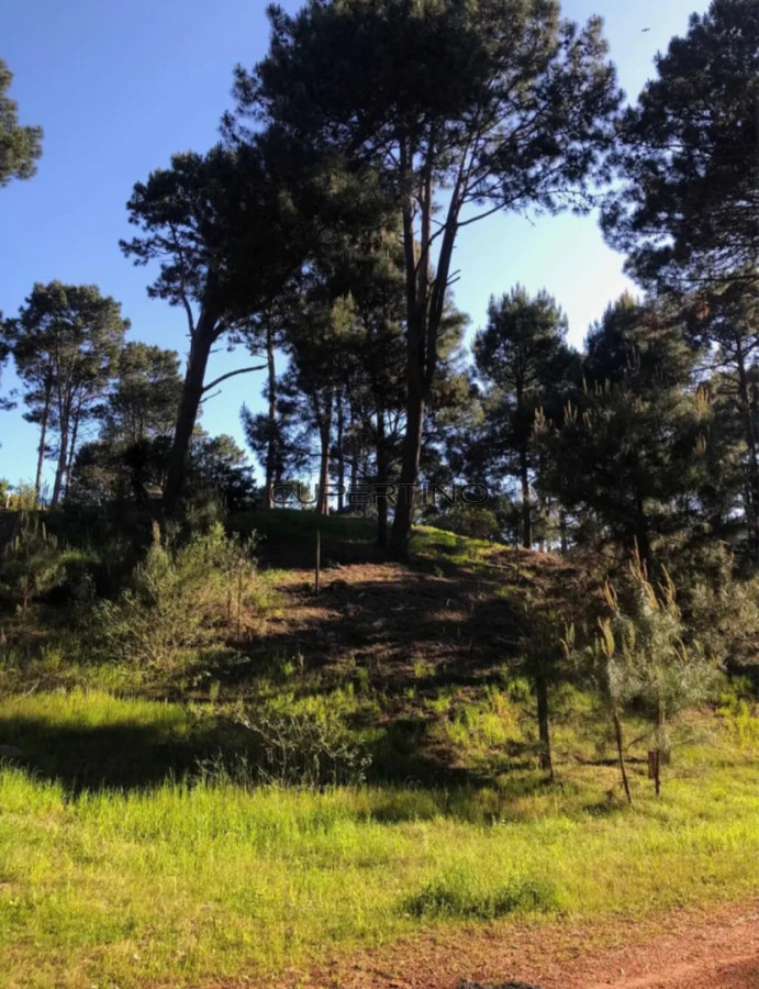 Terreno en venta en Club del lago punta ballena — foto 3
