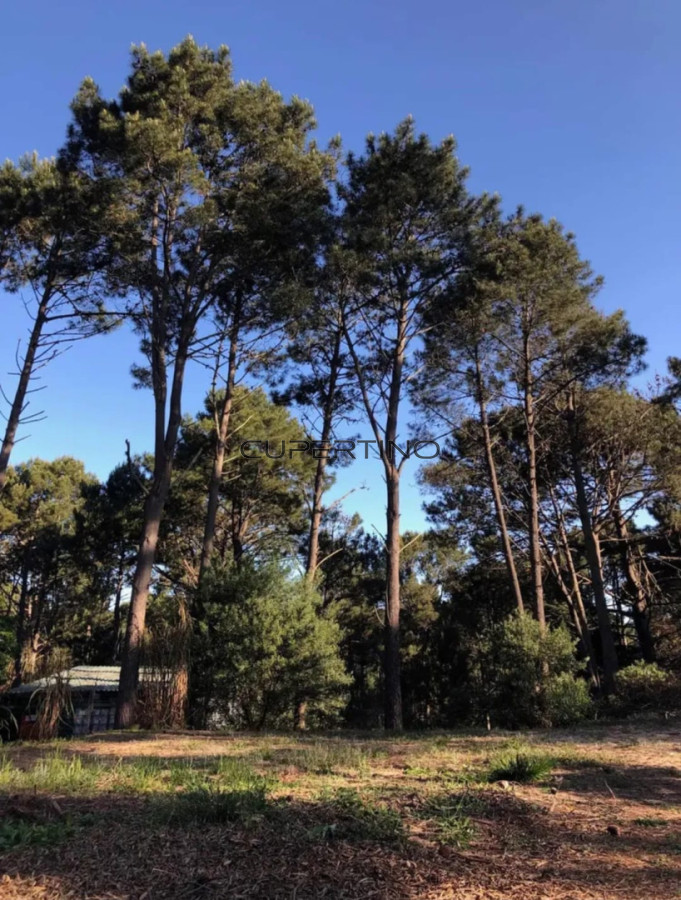 Terreno en venta en Club del lago punta ballena — foto 2