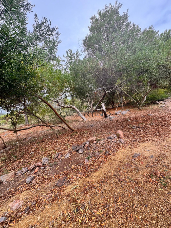 Terreno en Piriapolis con vista al mar — foto 9