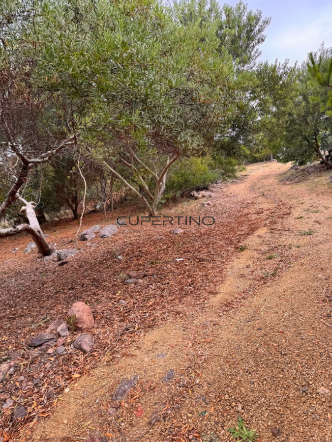 Terreno en Piriapolis con vista al mar — foto 8