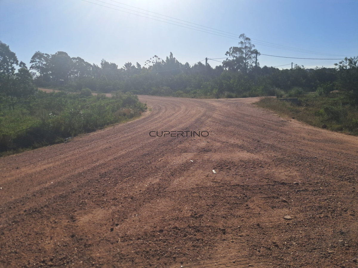 Manzana entera en venta - 16 terrenos - Punta del Diablo, Rocha — foto 6