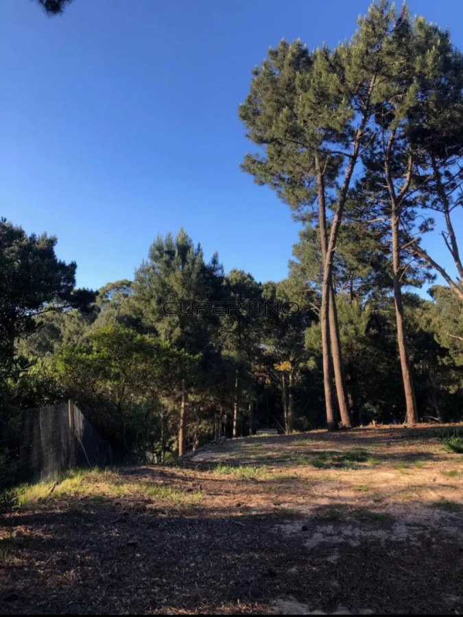 Terreno en venta en Club del lago punta ballena — foto 1