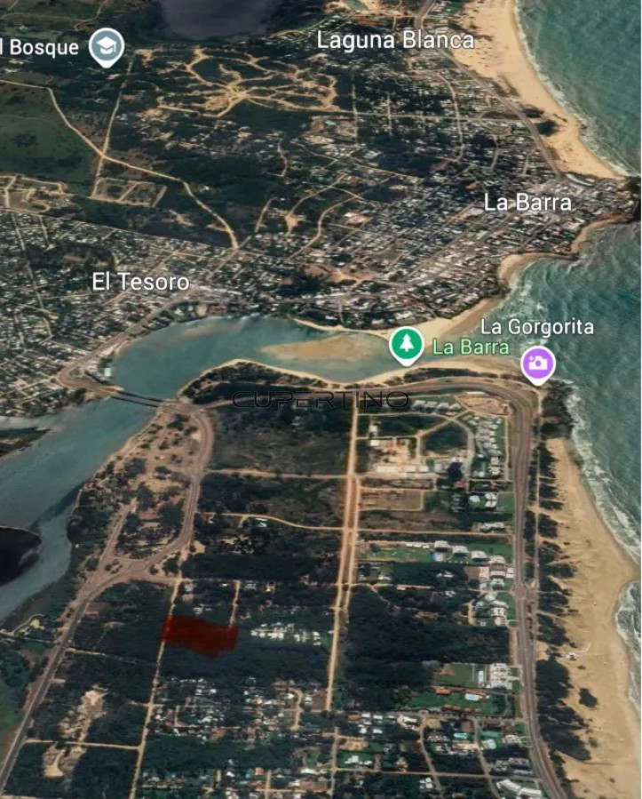 Terreno Rincon del Indio — foto 1